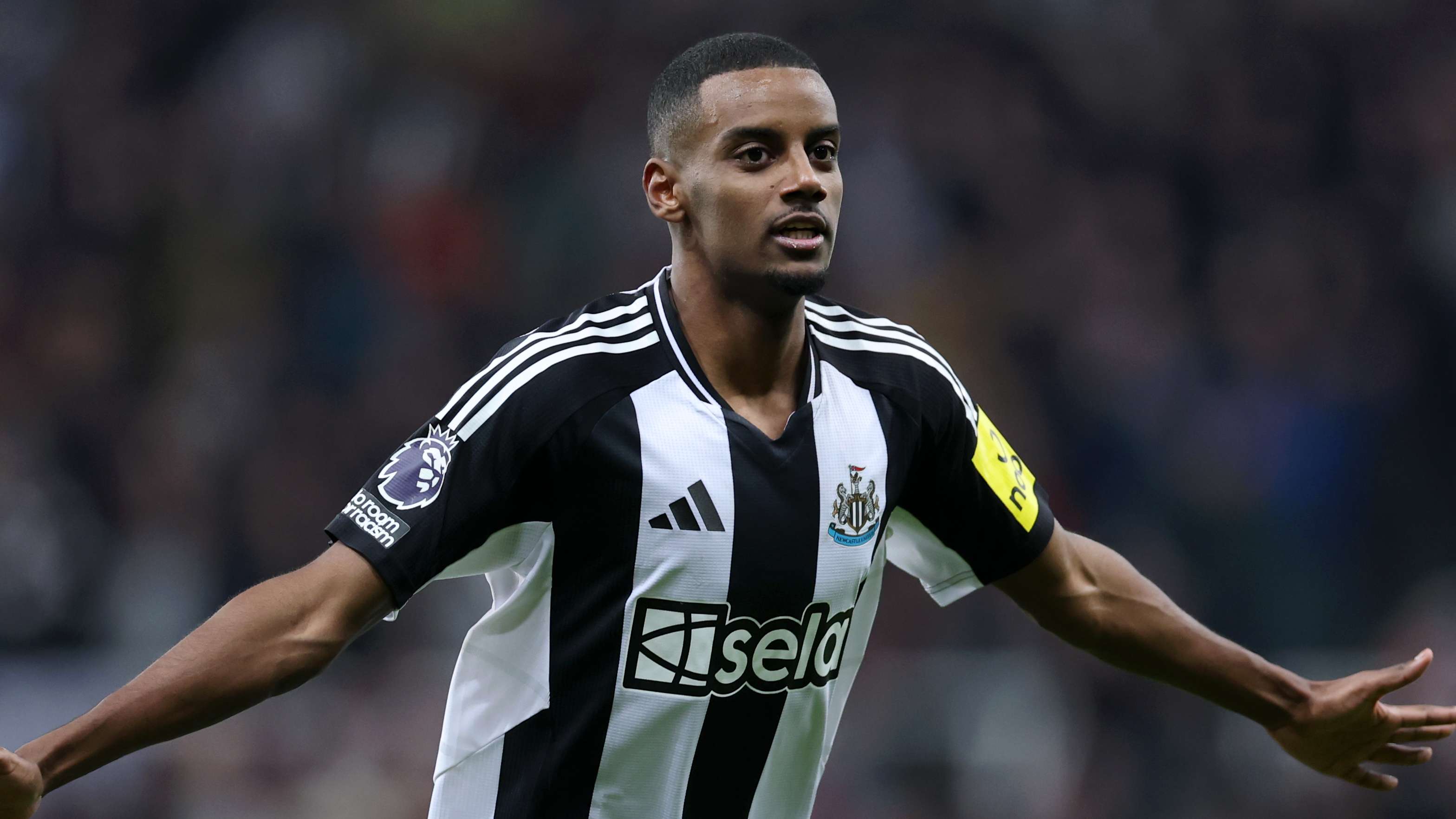 哈維曾評價 哈維曾評價