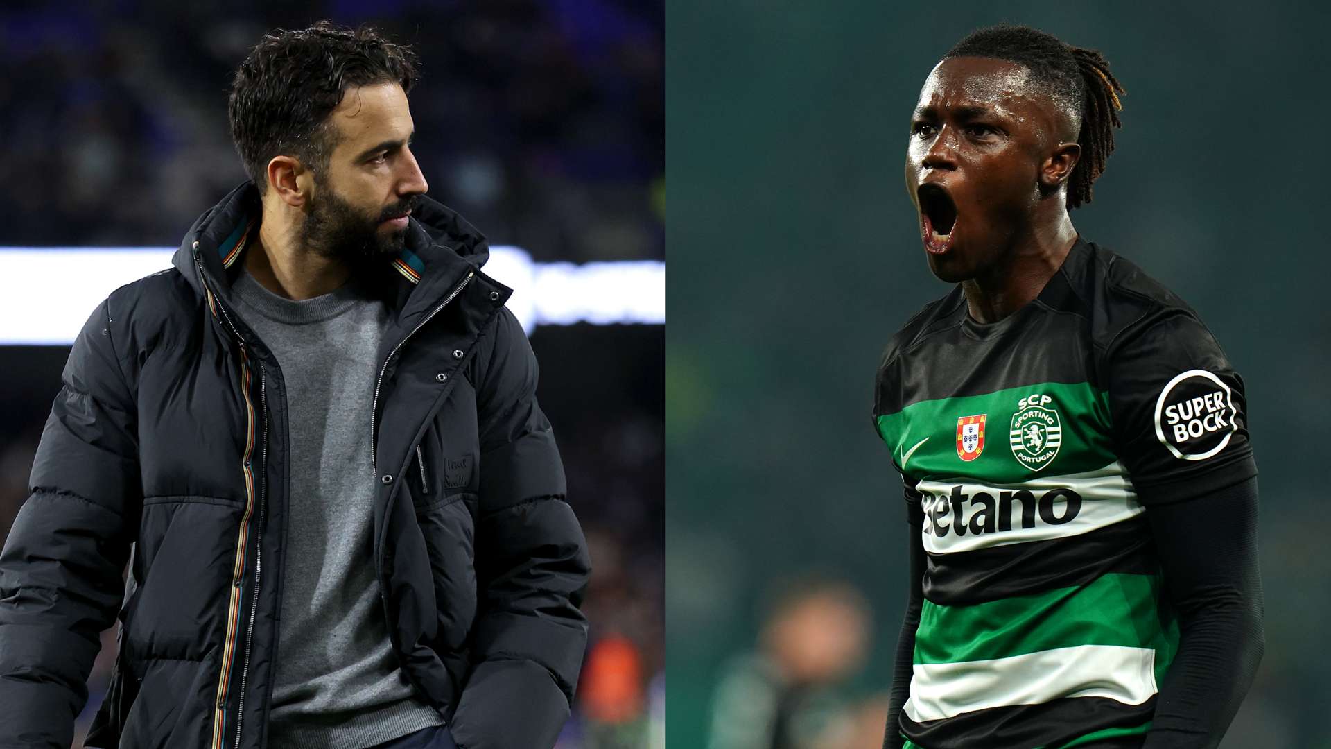 職業生涯的 職業生涯的